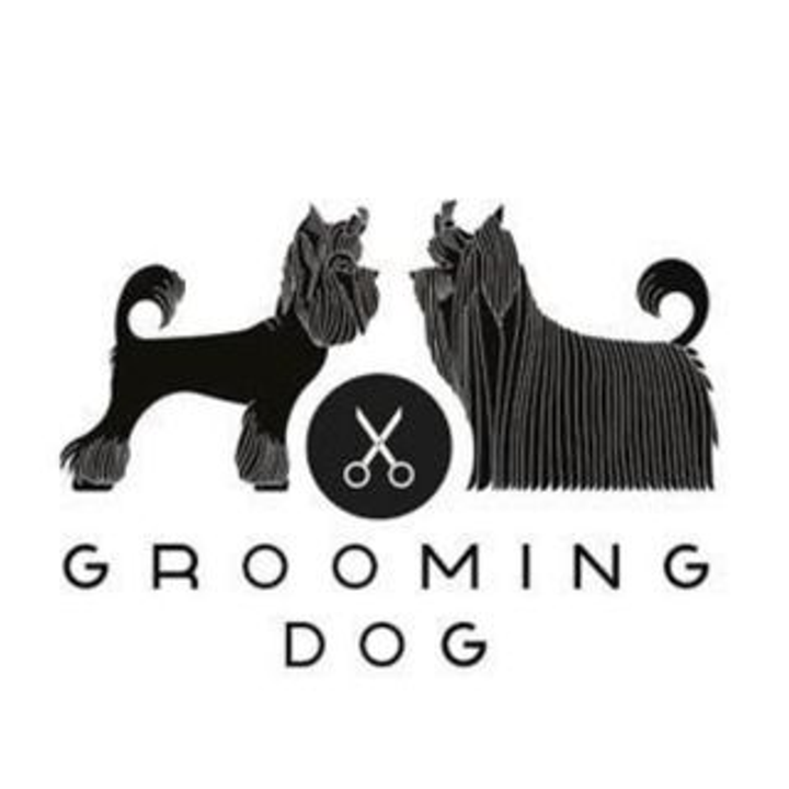 Grooming dog