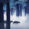 Smallwolf