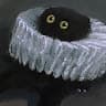 sashulechka