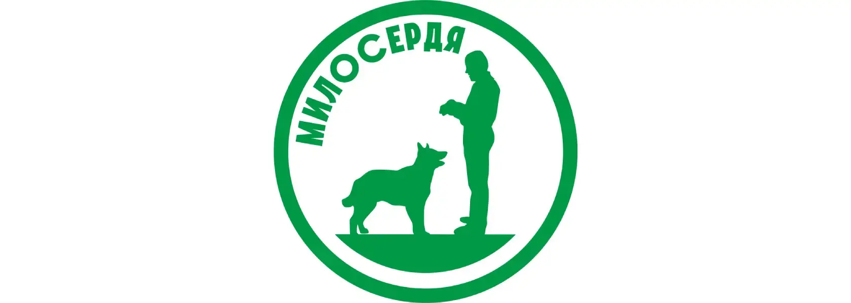 Как сейчас работает приют “Милосердие”