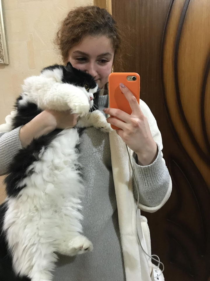 Допоможіть знайти кота, що зник в місті Київ, просп. Победы 148/1