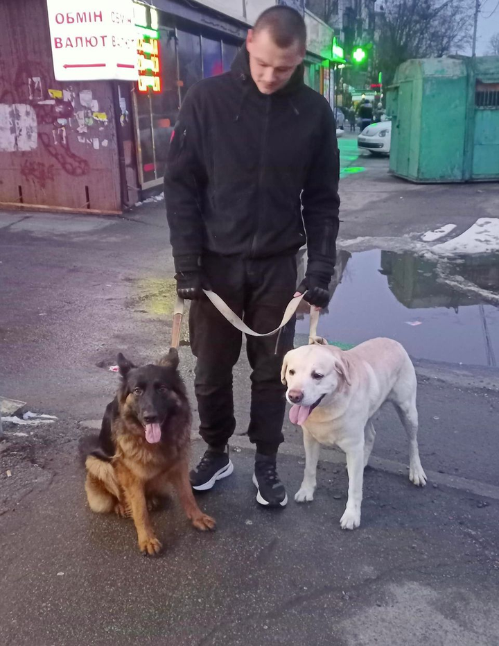 Найдено пса в городе Киев, вул. Генерала Родимцева 6