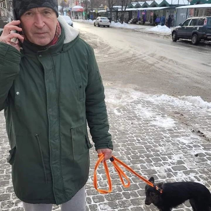 Помогите найти собаку пропавшую в городе Полтава, вул. Головка