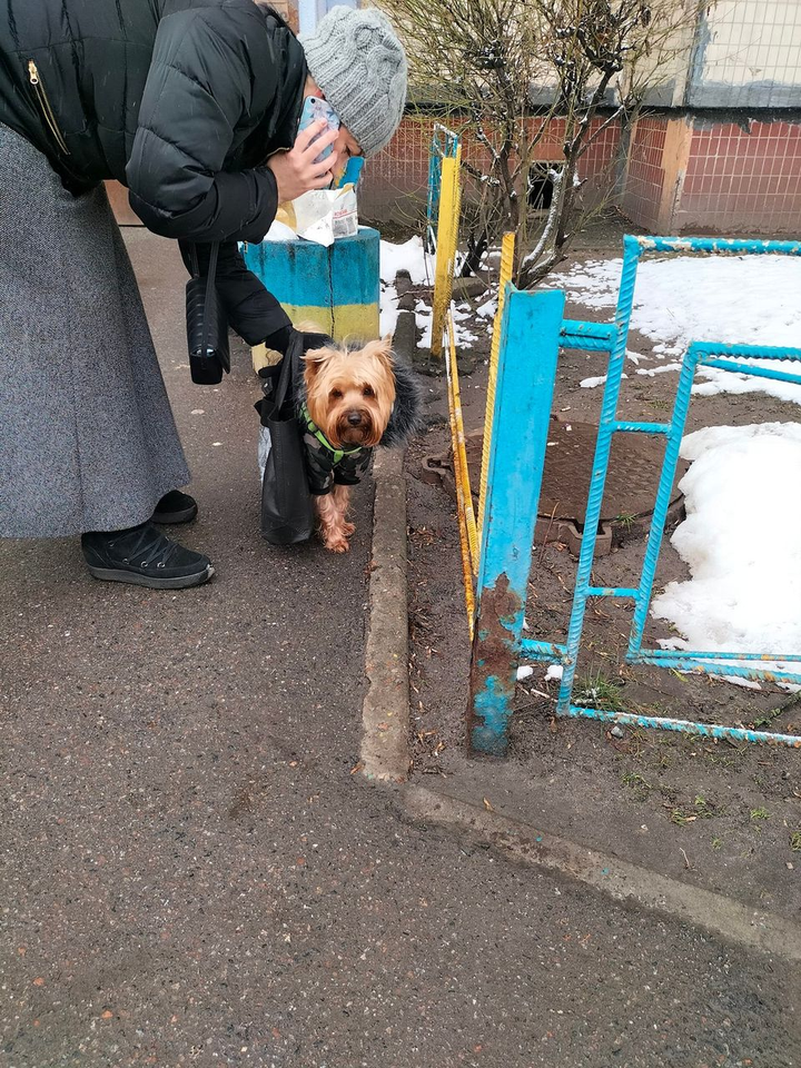 Найдено пса в городе Киев, вул. Пріорська (Полупанова)