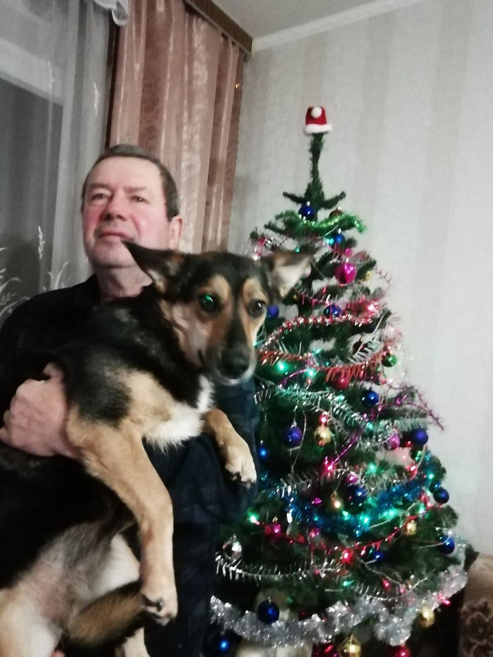 Помогите найти собаку с именем Мія  пропавшую в городе Киев, вул. Градинська