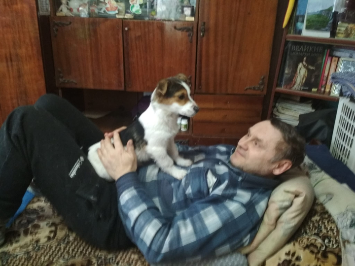 Найдено пса в городе Харьков, ул. Косарева (Соколова)