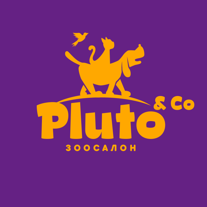 Pluto & Co.