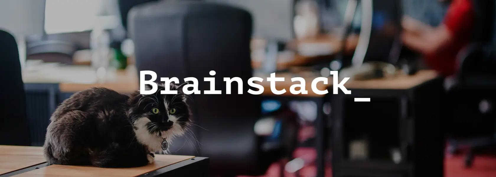 brainstack_ logo сat.webp